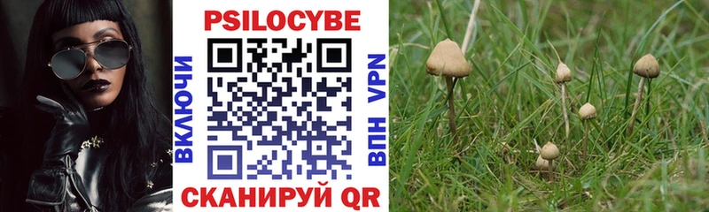 kraken зеркало  Лесной  Галлюциногенные грибы мухоморы 